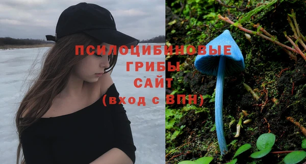 прущие крисы Касимов