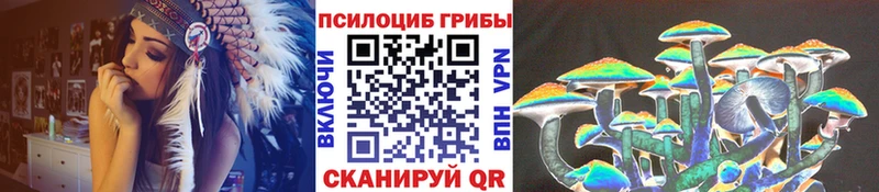 Купить  Карталы  Галлюциногенные грибы мицелий 