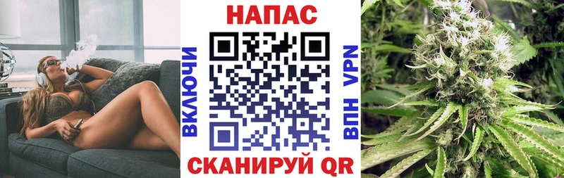 Купить где  Карталы  Конопля план 